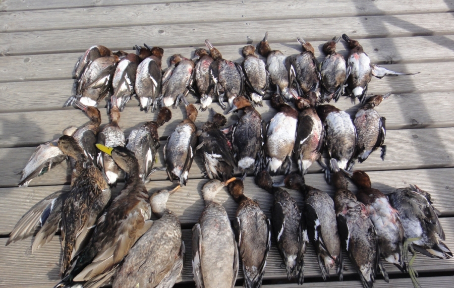 Рыболовная база отдыха «Fish Club» (Фиш Клуб)